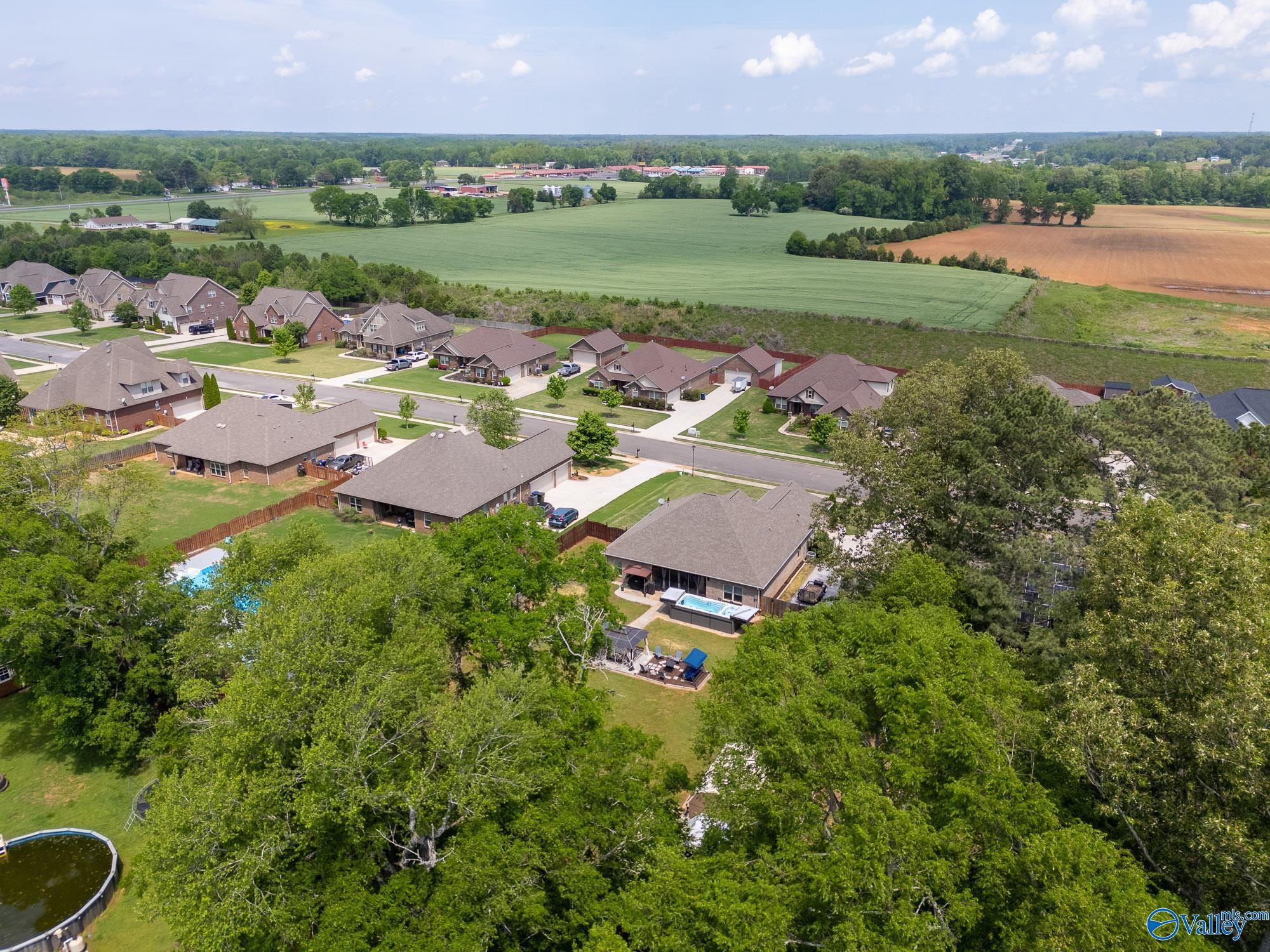 123 Carlton Cash Drive, Hazel Green, Alabama image 41