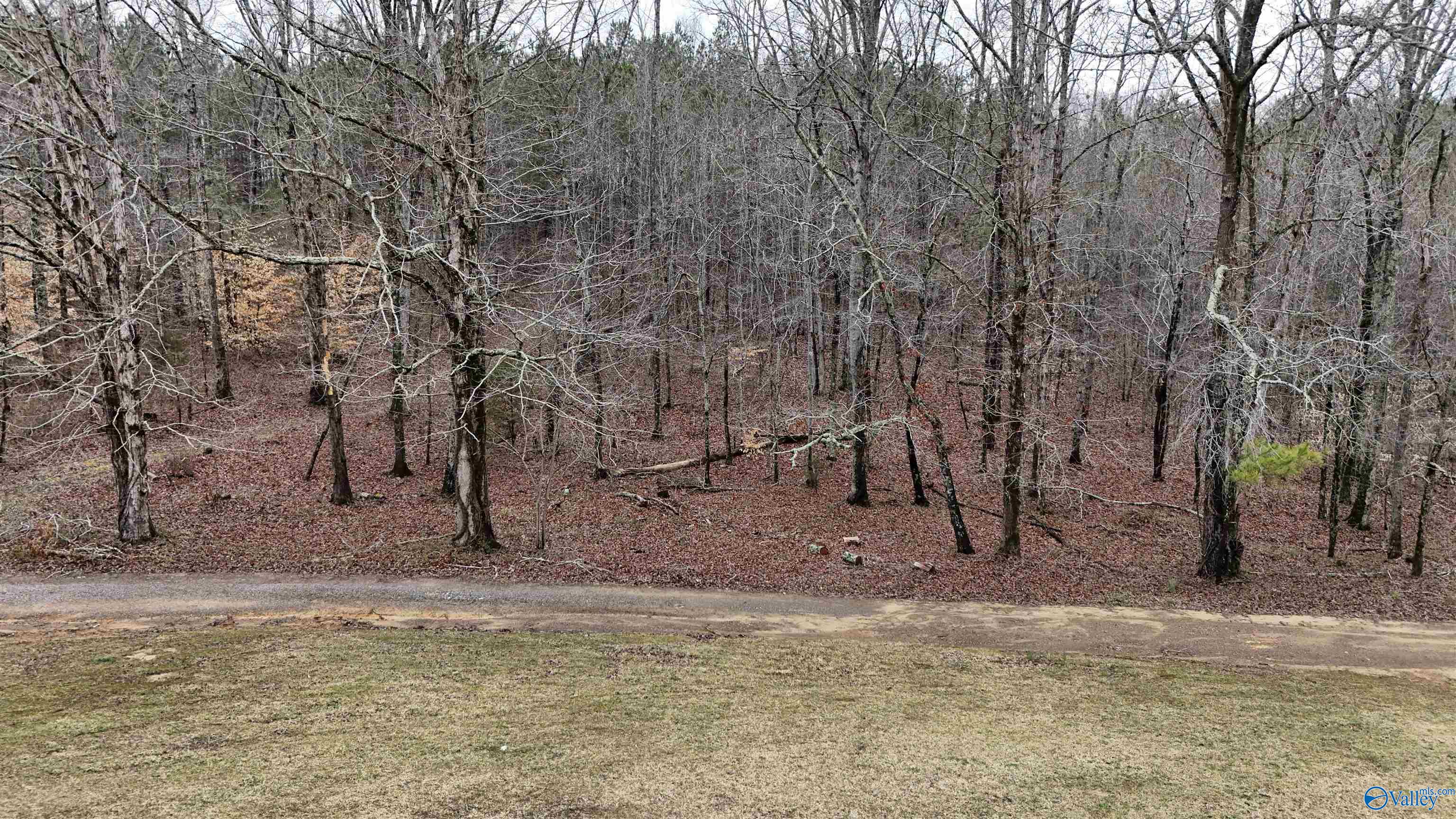 1922 Jackson Trail, Altoona, Alabama image 3