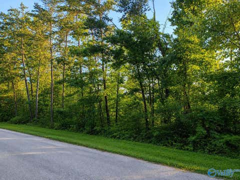 Vacant Land For Sale - TRACT 12C-13 County Road 711 #12C-13<br/> Cedar Bluff, AL 35959