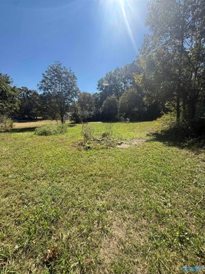 9180 ALABAMA HIGHWAY 168 W, BOAZ, AL 35957 - Image 6e95b3be213850968dd53f5f3e35dba2/2647623758