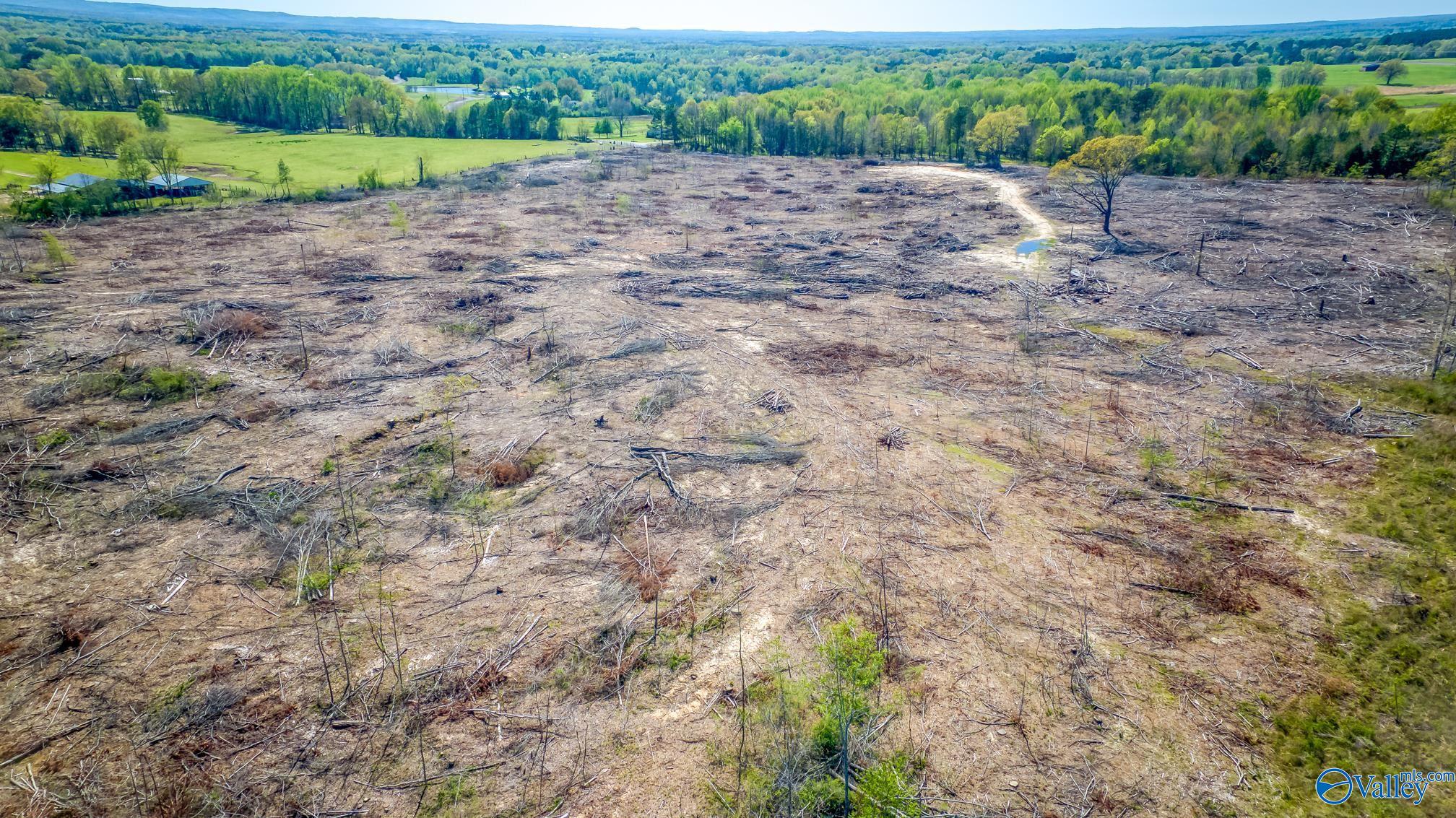 27.65 ACRES County Road 137, Town Creek, Alabama image 6