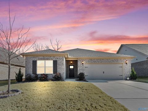 Homes For Sale - 249 Catalyst Street<br/> Huntsville, AL 35811