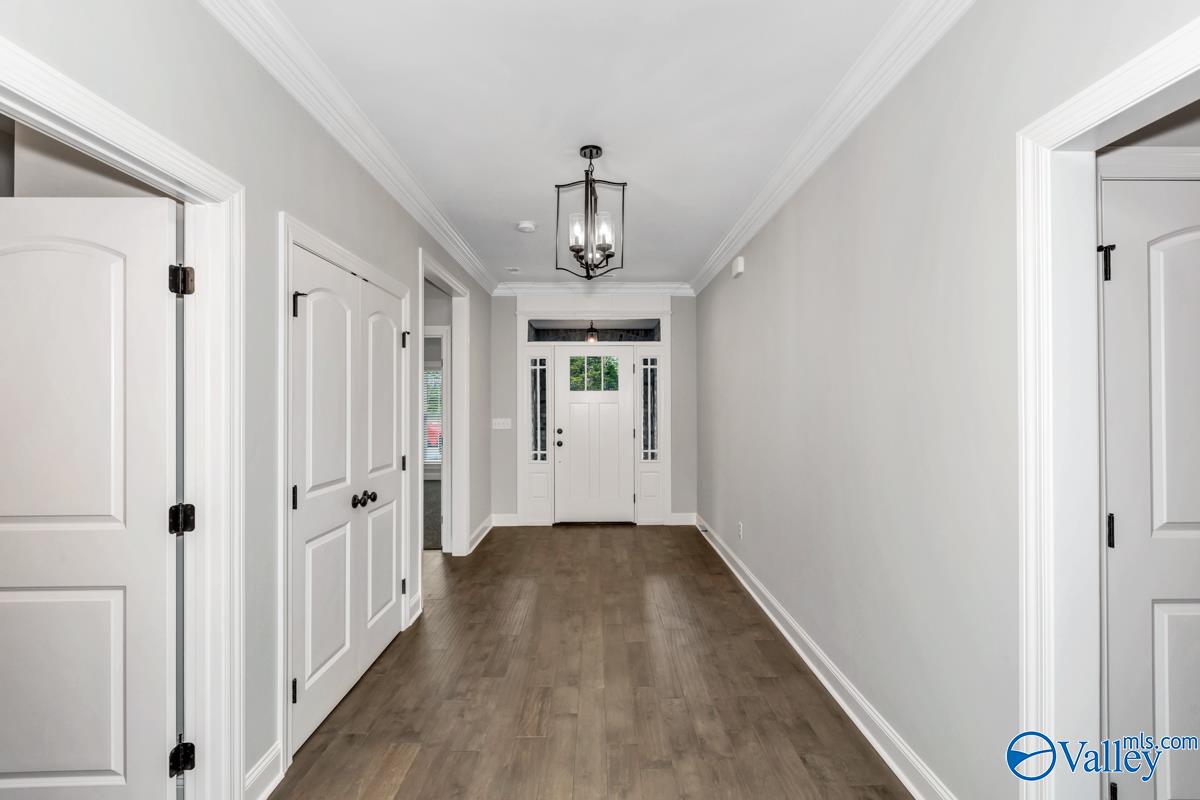 114 Timber Springs Court