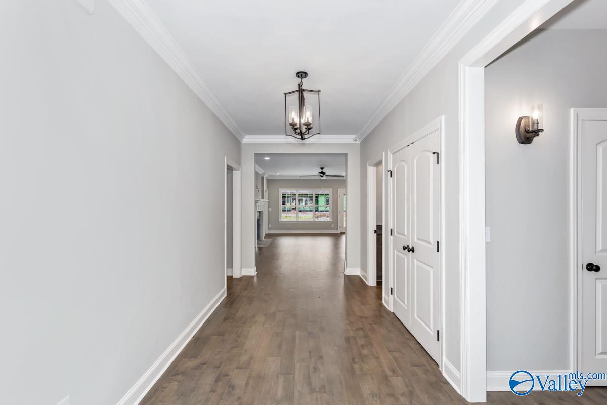 114 Timber Springs Court