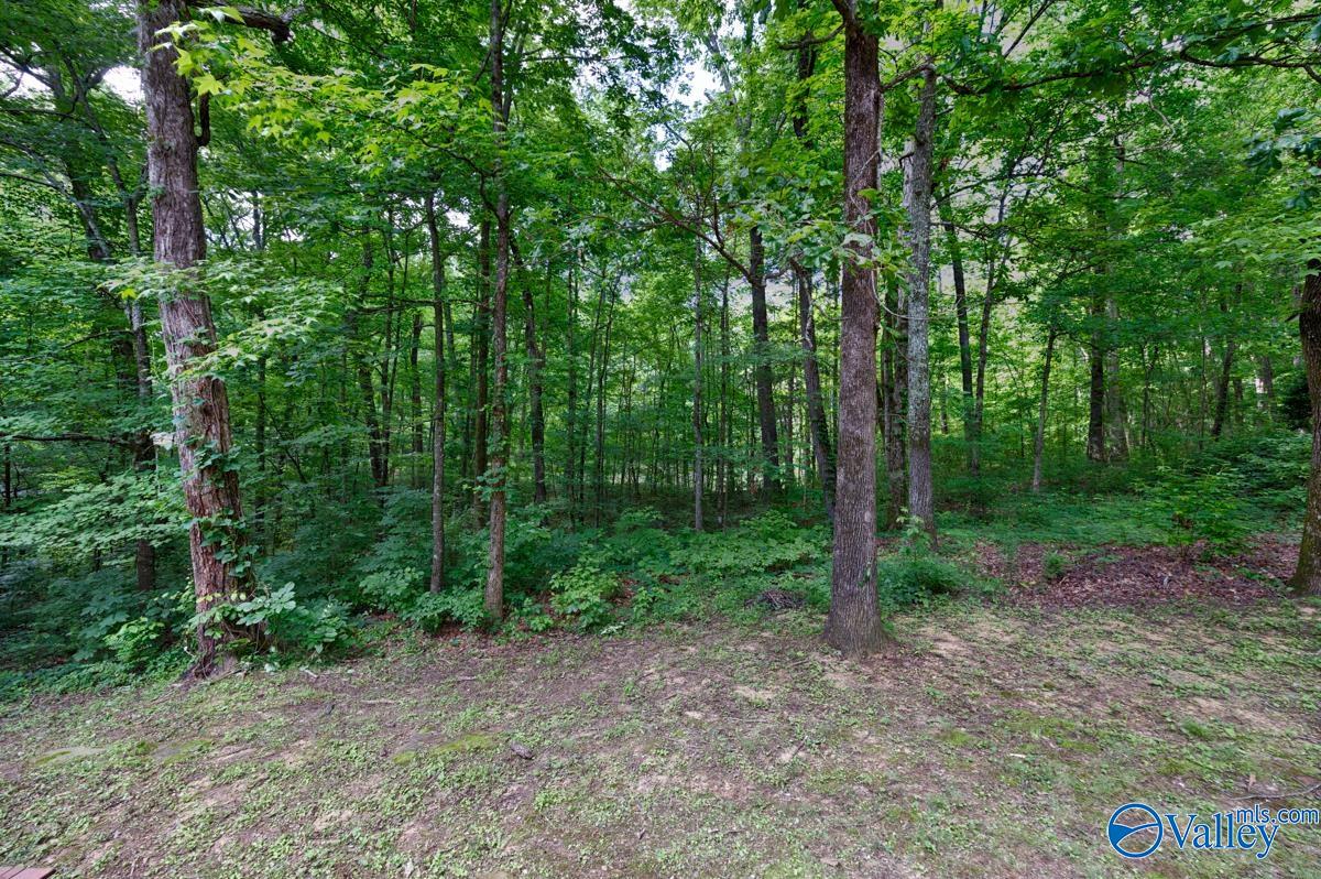 903 Jessie Drive, Decatur, Alabama image 48