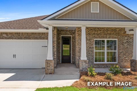 Homes For Sale - 210 Cave Lake<br/> Owens Cross Roads, AL 35763