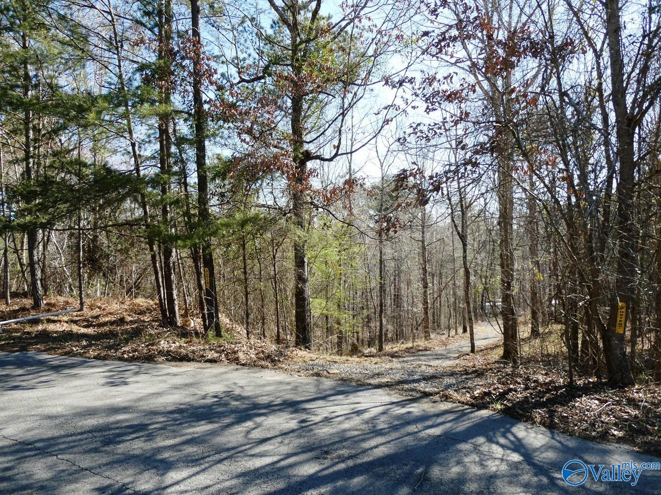 12 County Road 123, Crane Hill, Alabama image 4