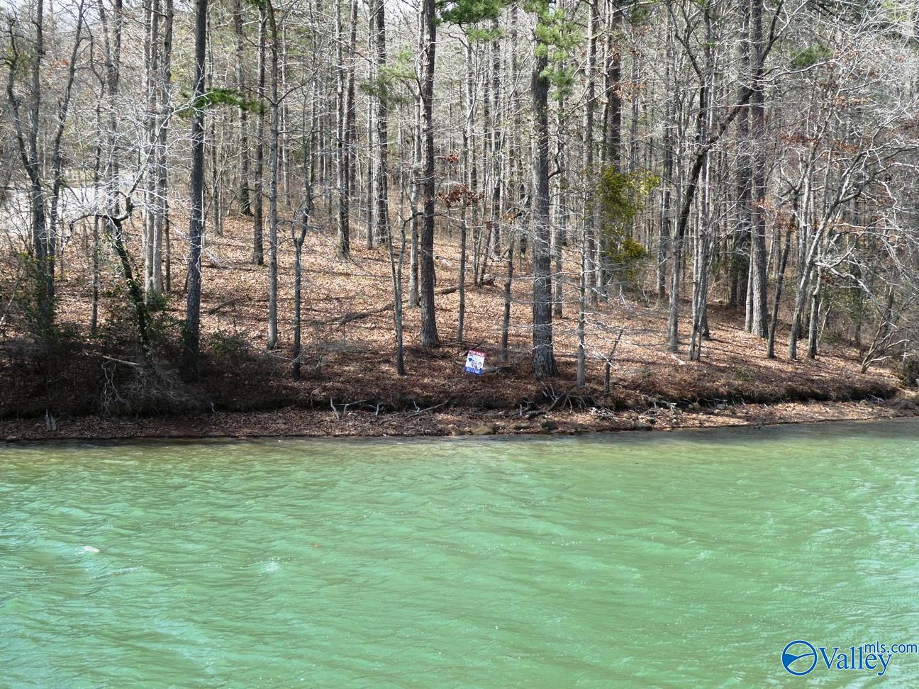 12 County Road 123, Crane Hill, Alabama image 17