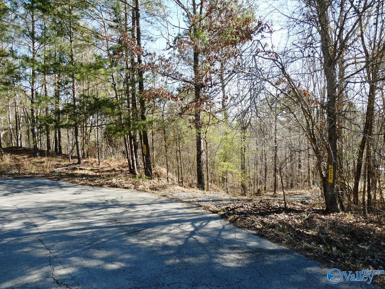 12 County Road 123, Crane Hill, Alabama image 7