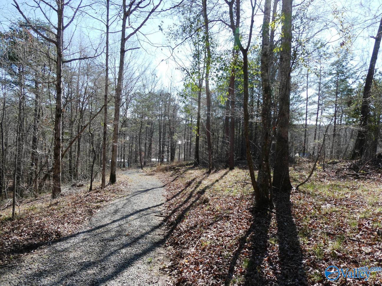 12 County Road 123, Crane Hill, Alabama image 5
