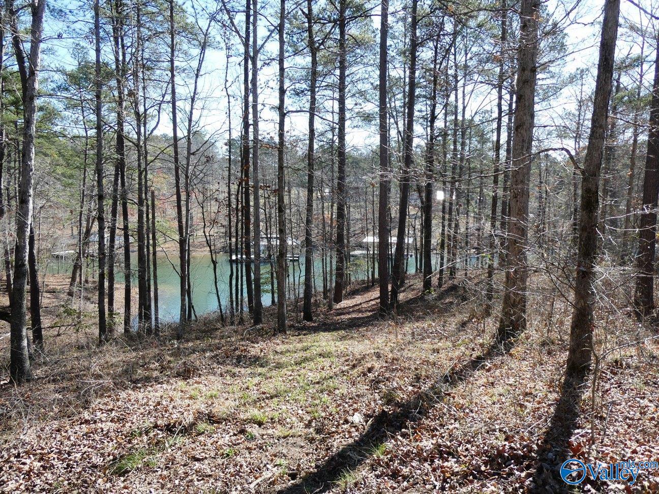 12 County Road 123, Crane Hill, Alabama image 11