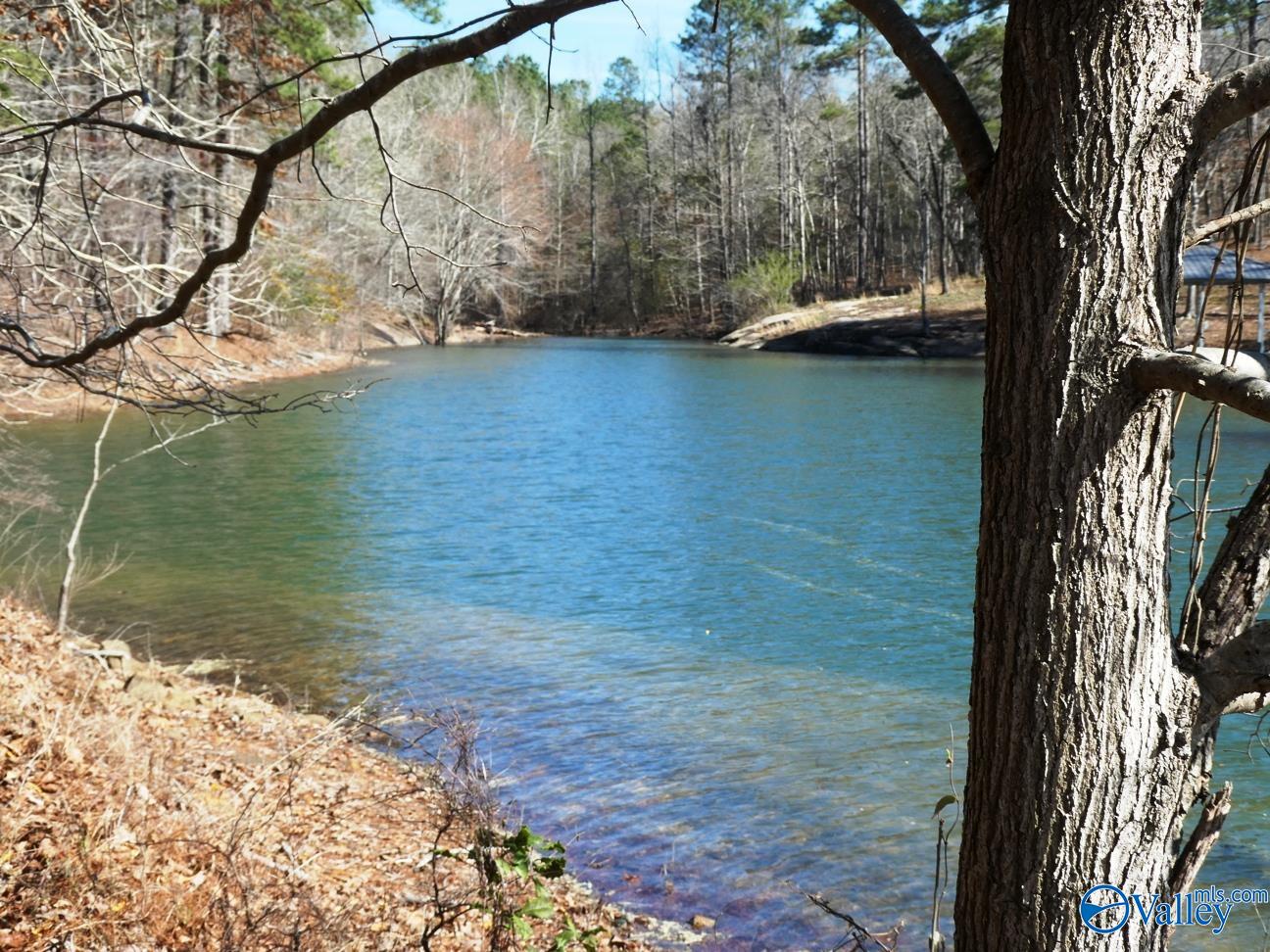 12 County Road 123, Crane Hill, Alabama image 6