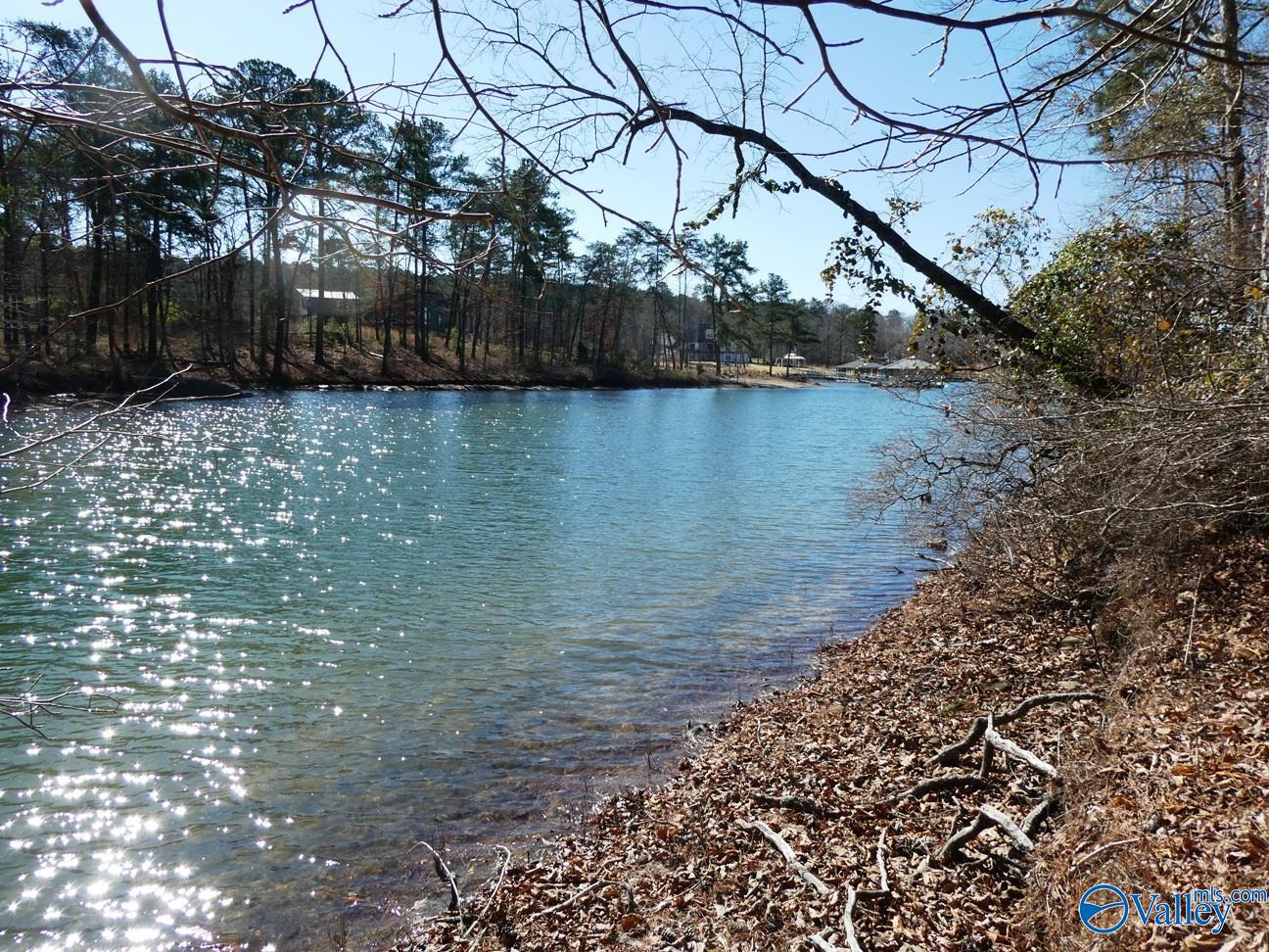 12 County Road 123, Crane Hill, Alabama image 16