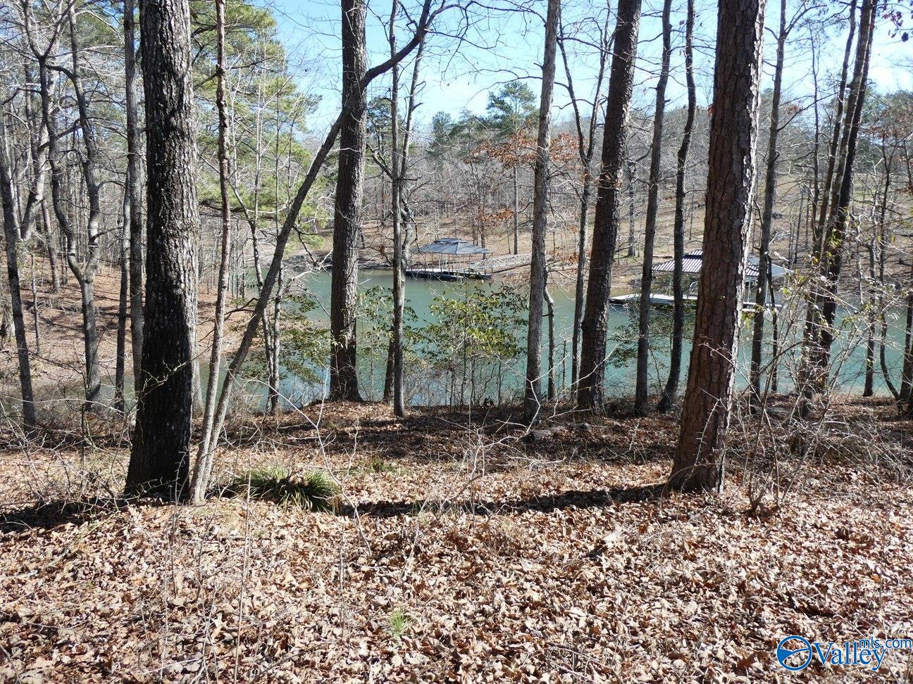 12 County Road 123, Crane Hill, Alabama image 9