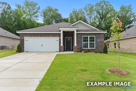 Photo of 225 Jerrie Lynn Boulevard, Meridianville, AL 35759 (MLS # 21905749)