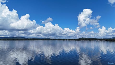Vacant Land For Sale - TRACTS 3&4 Pinewood Drive<br/> Guntersville, AL 35976