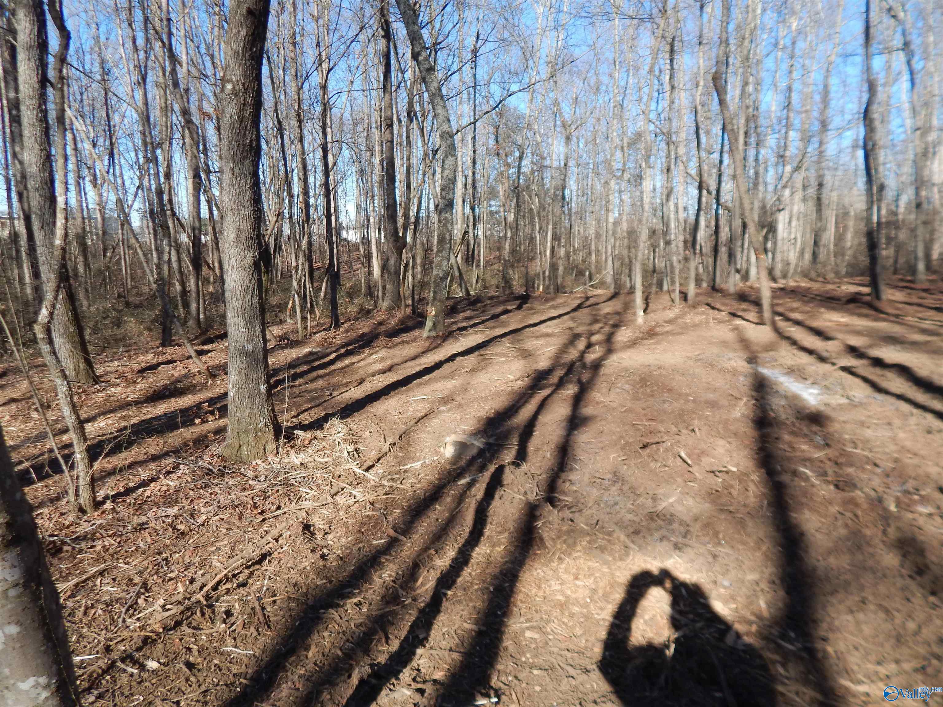 4 Acres Horizon Street, Sylvania, Alabama image 13