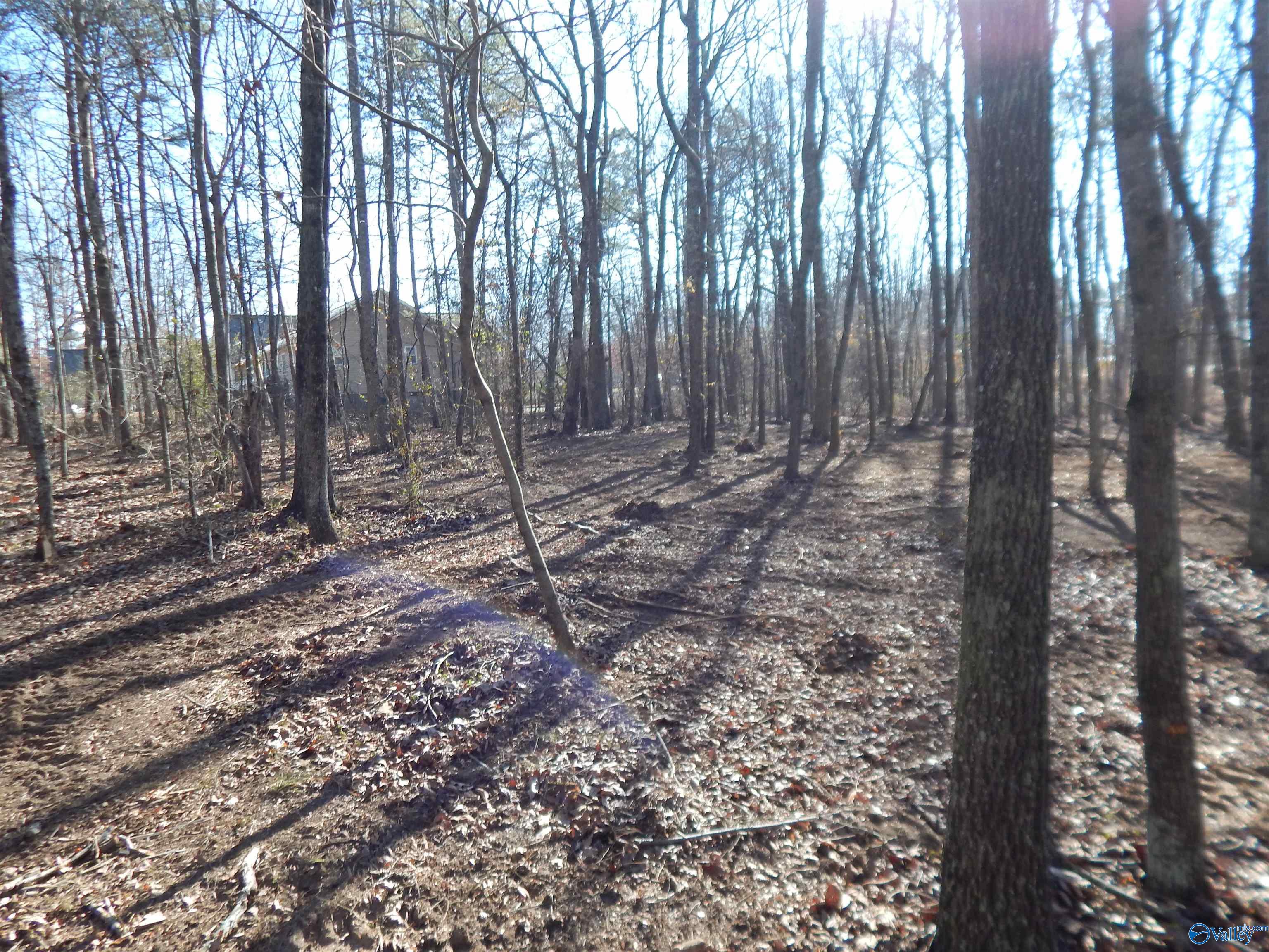 4 Acres Horizon Street, Sylvania, Alabama image 18