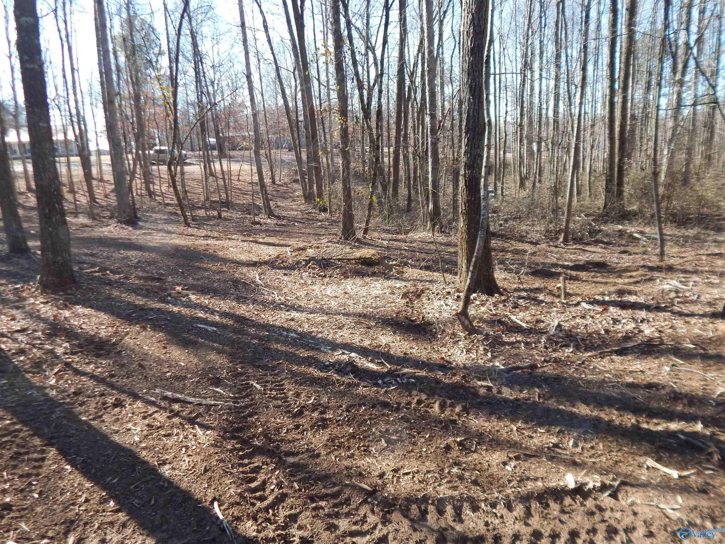 4 Acres Horizon Street, Sylvania, Alabama image 1