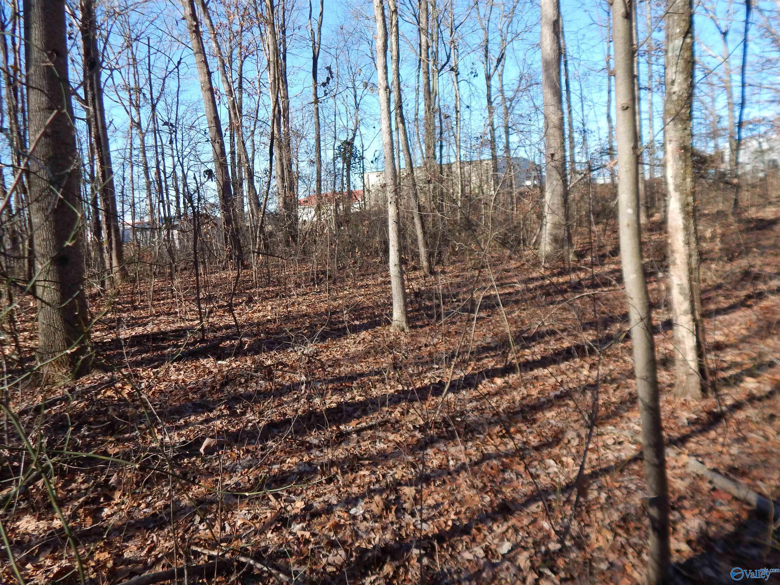 4 Acres Horizon Street, Sylvania, Alabama image 24