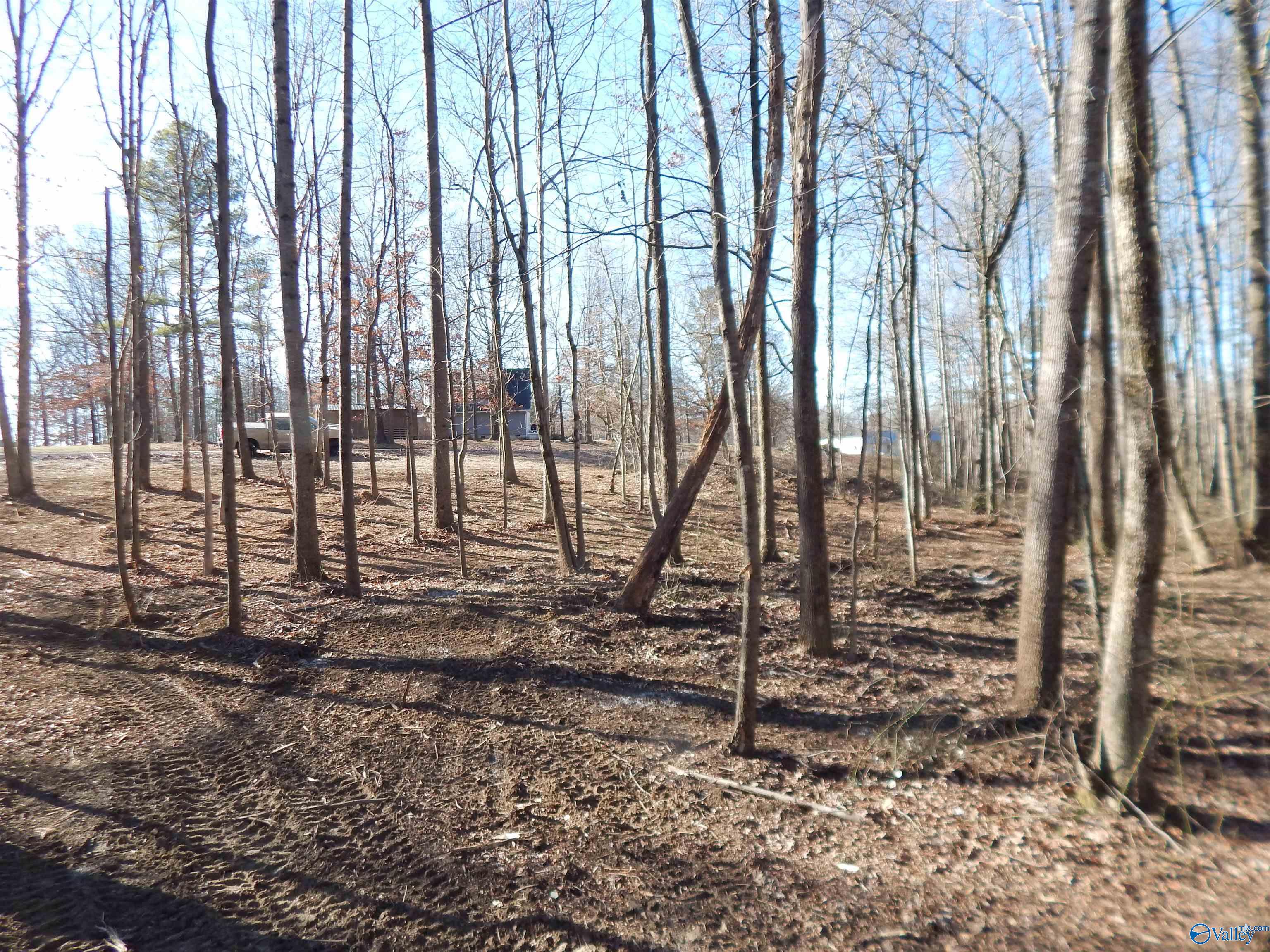 4 Acres Horizon Street, Sylvania, Alabama image 10
