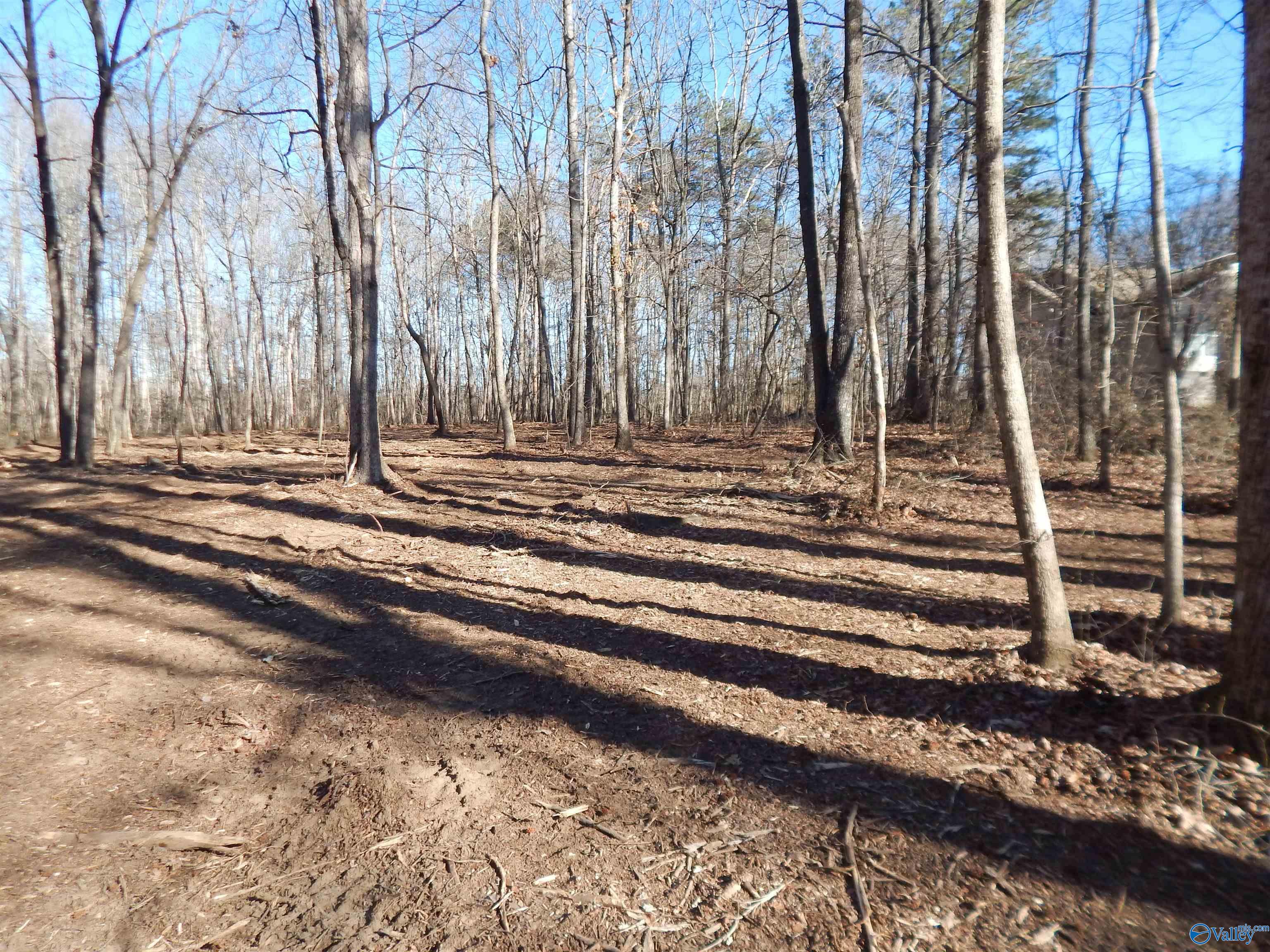 4 Acres Horizon Street, Sylvania, Alabama image 8