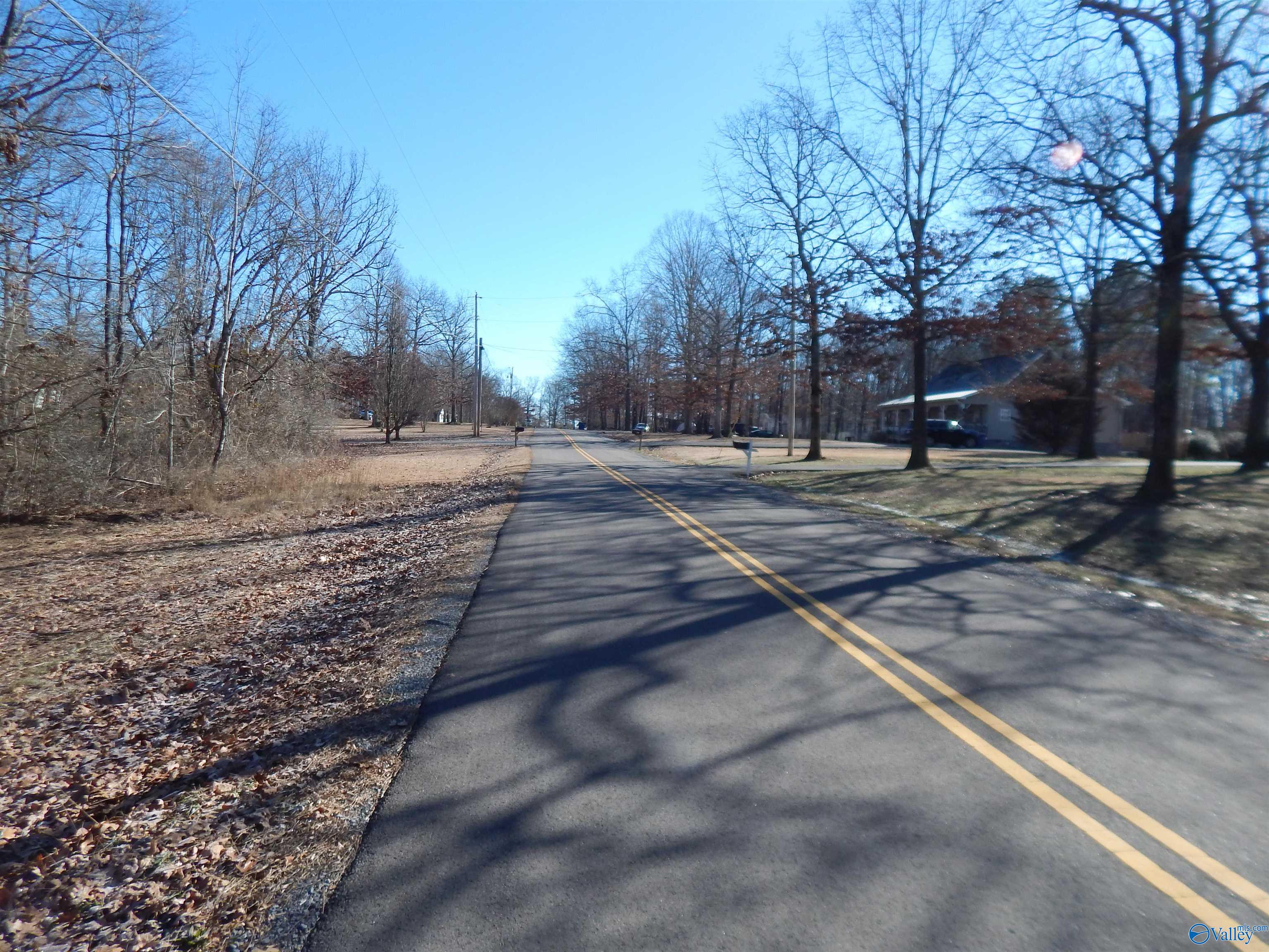 4 Acres Horizon Street, Sylvania, Alabama image 2