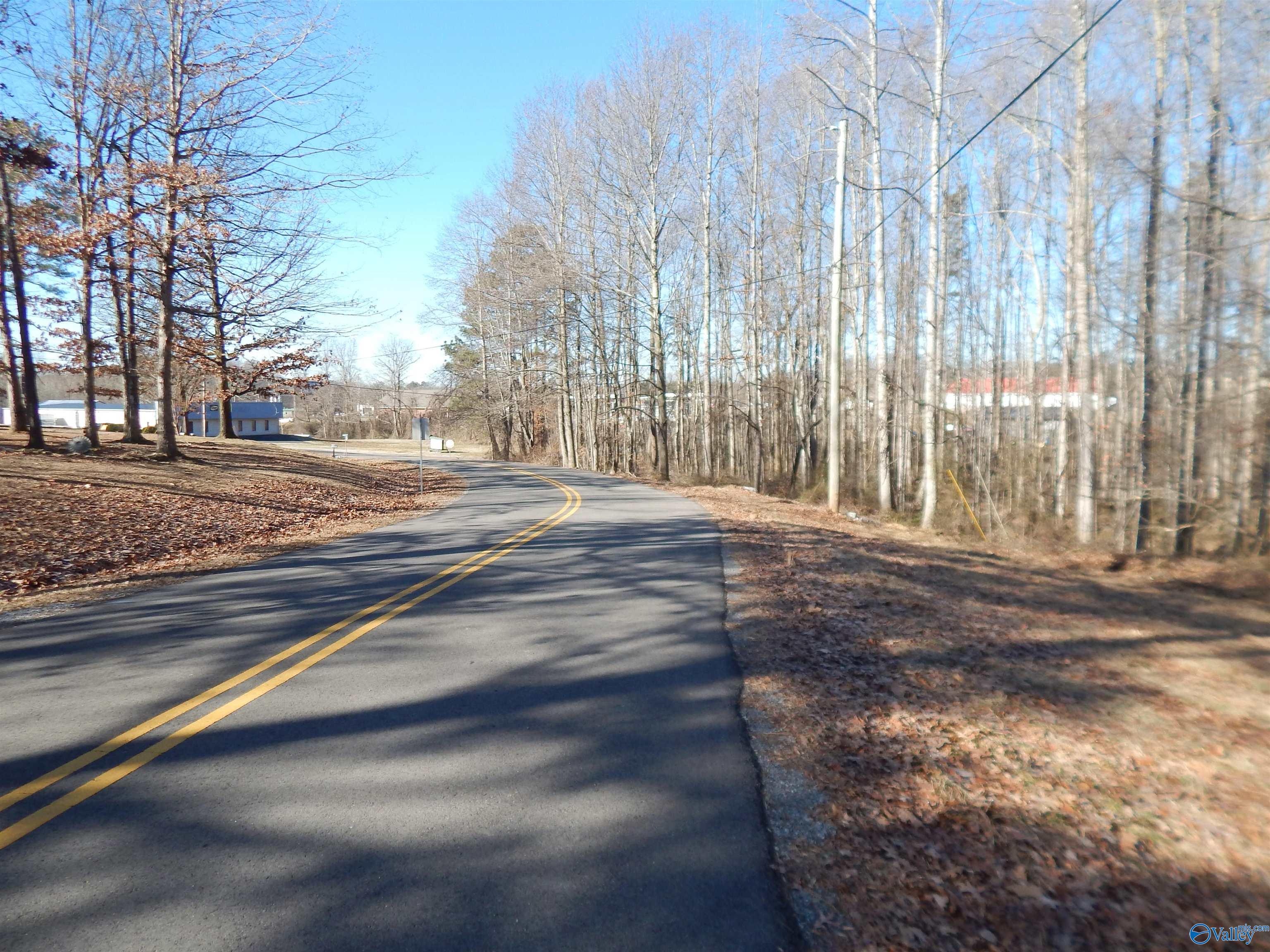 4 Acres Horizon Street, Sylvania, Alabama image 3