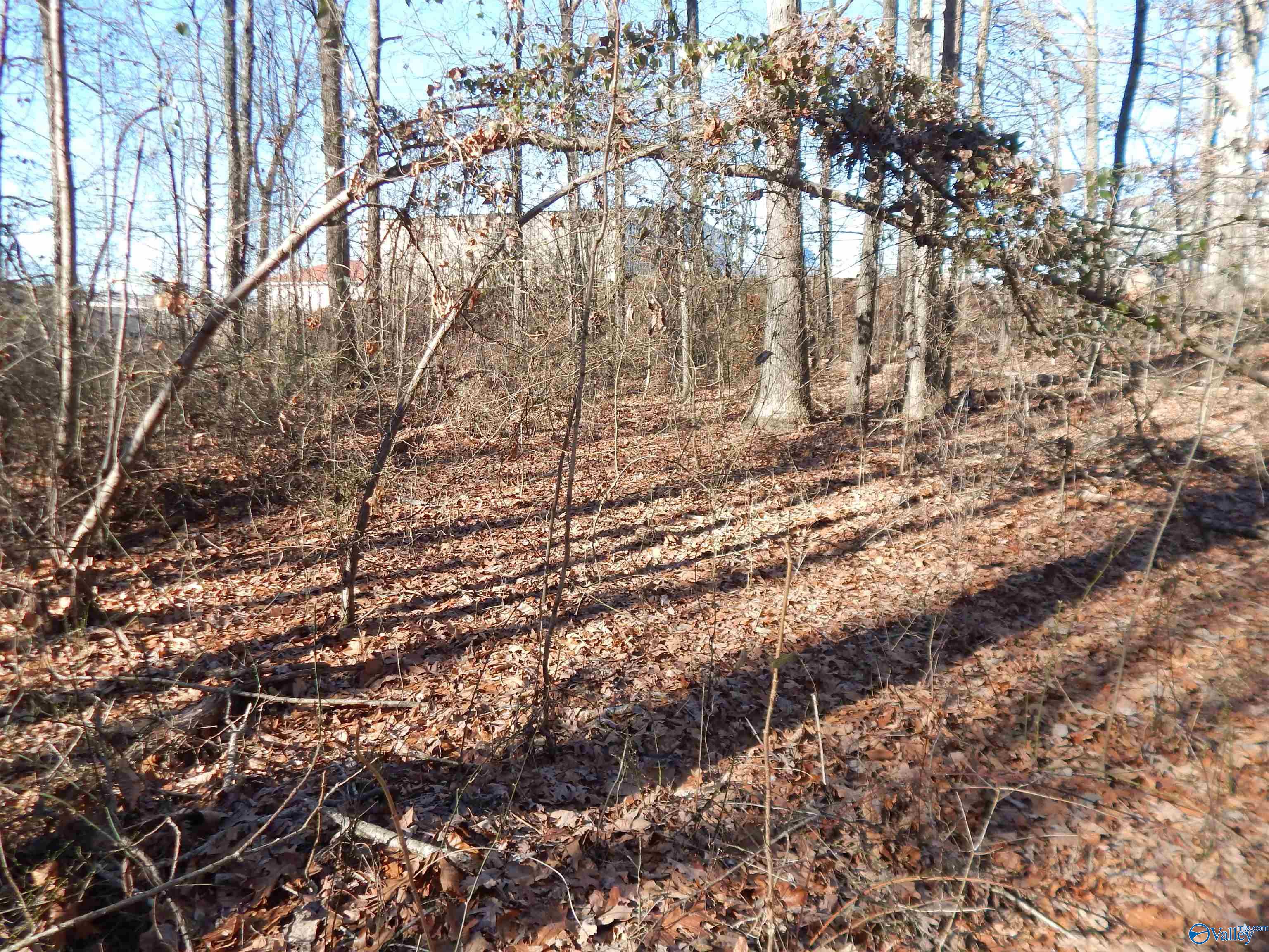 4 Acres Horizon Street, Sylvania, Alabama image 27