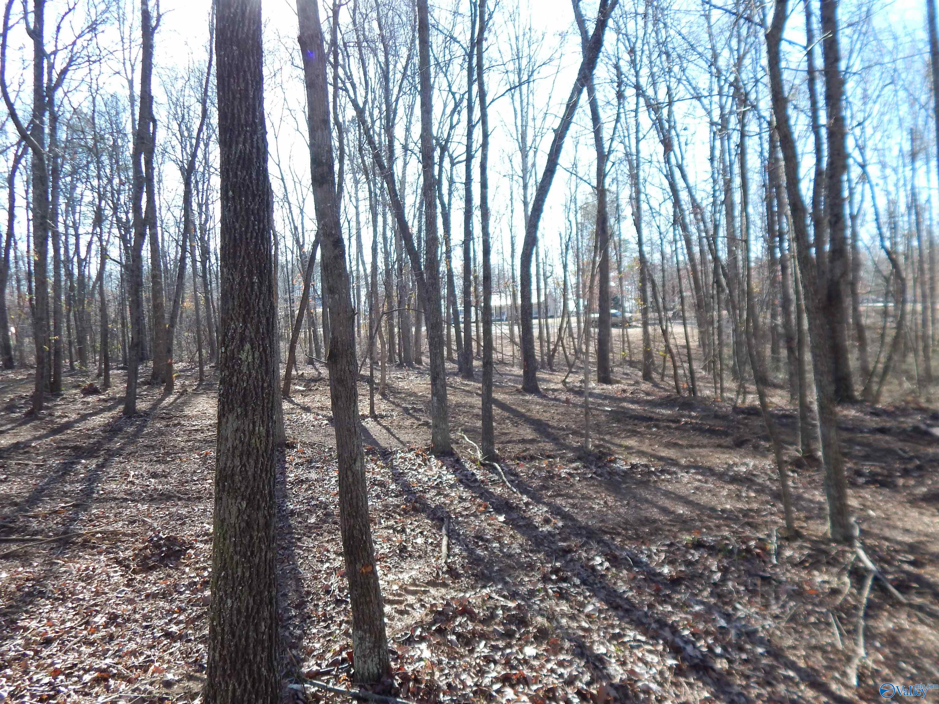 4 Acres Horizon Street, Sylvania, Alabama image 17