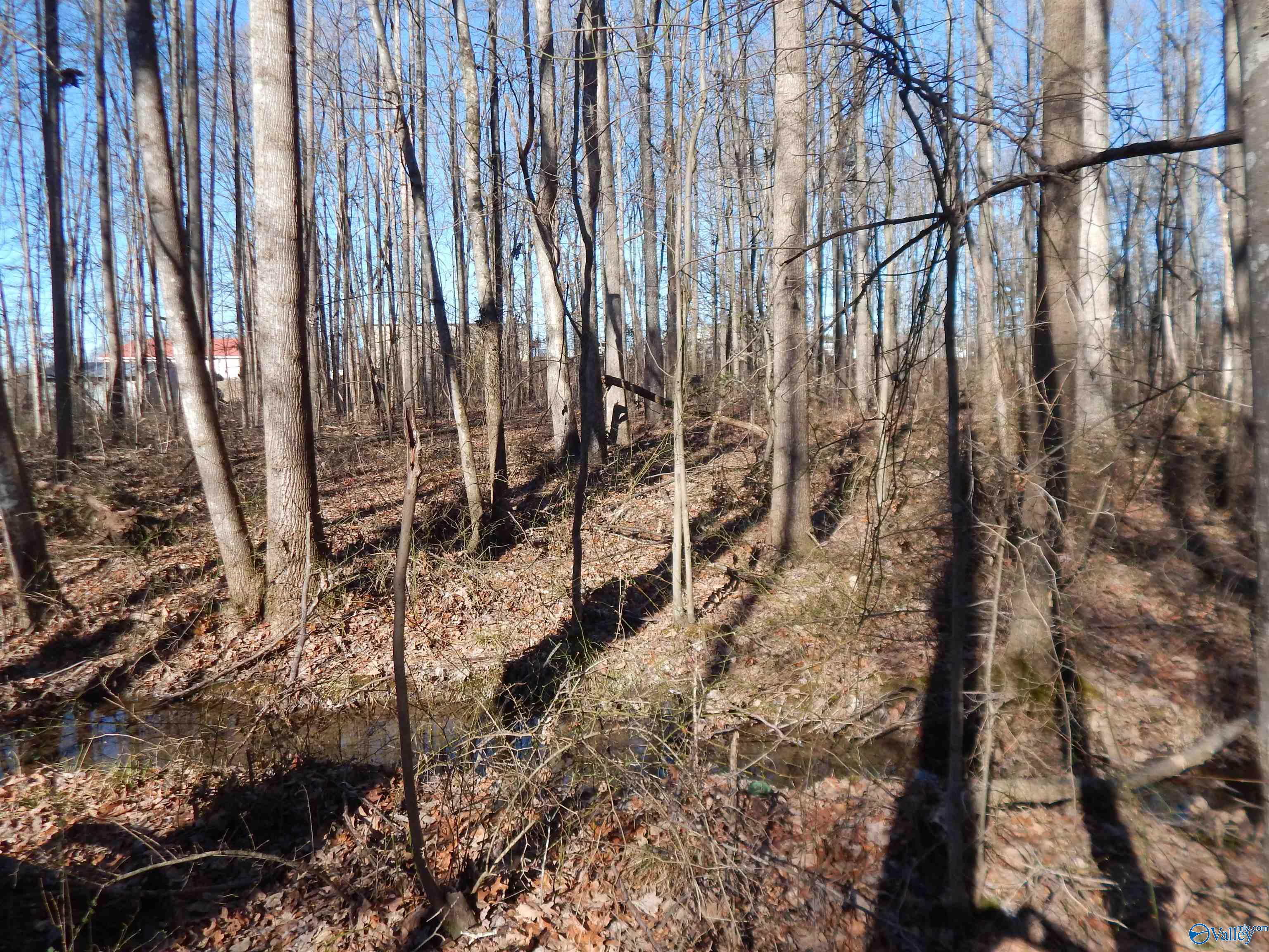 4 Acres Horizon Street, Sylvania, Alabama image 37