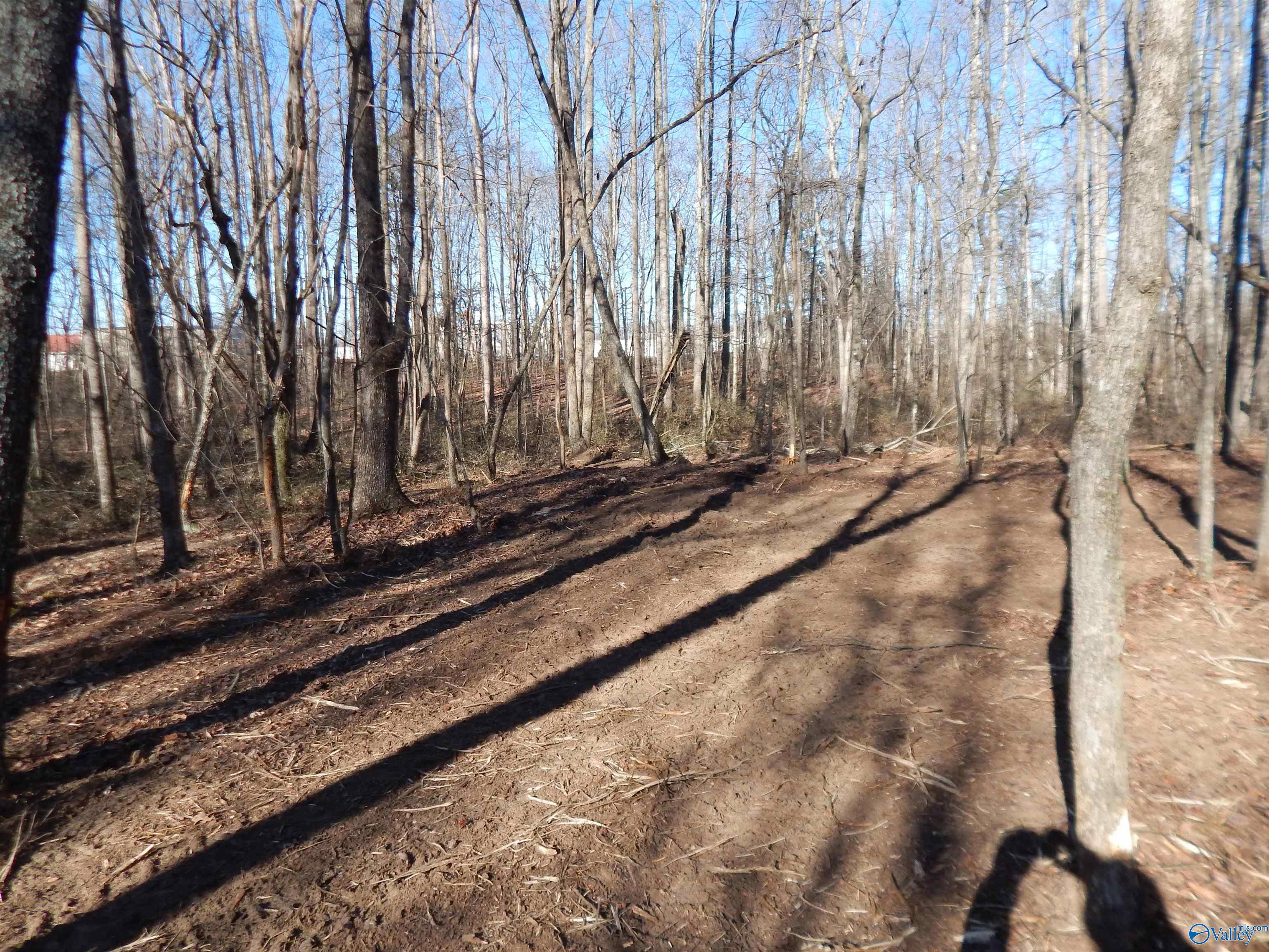 4 Acres Horizon Street, Sylvania, Alabama image 15