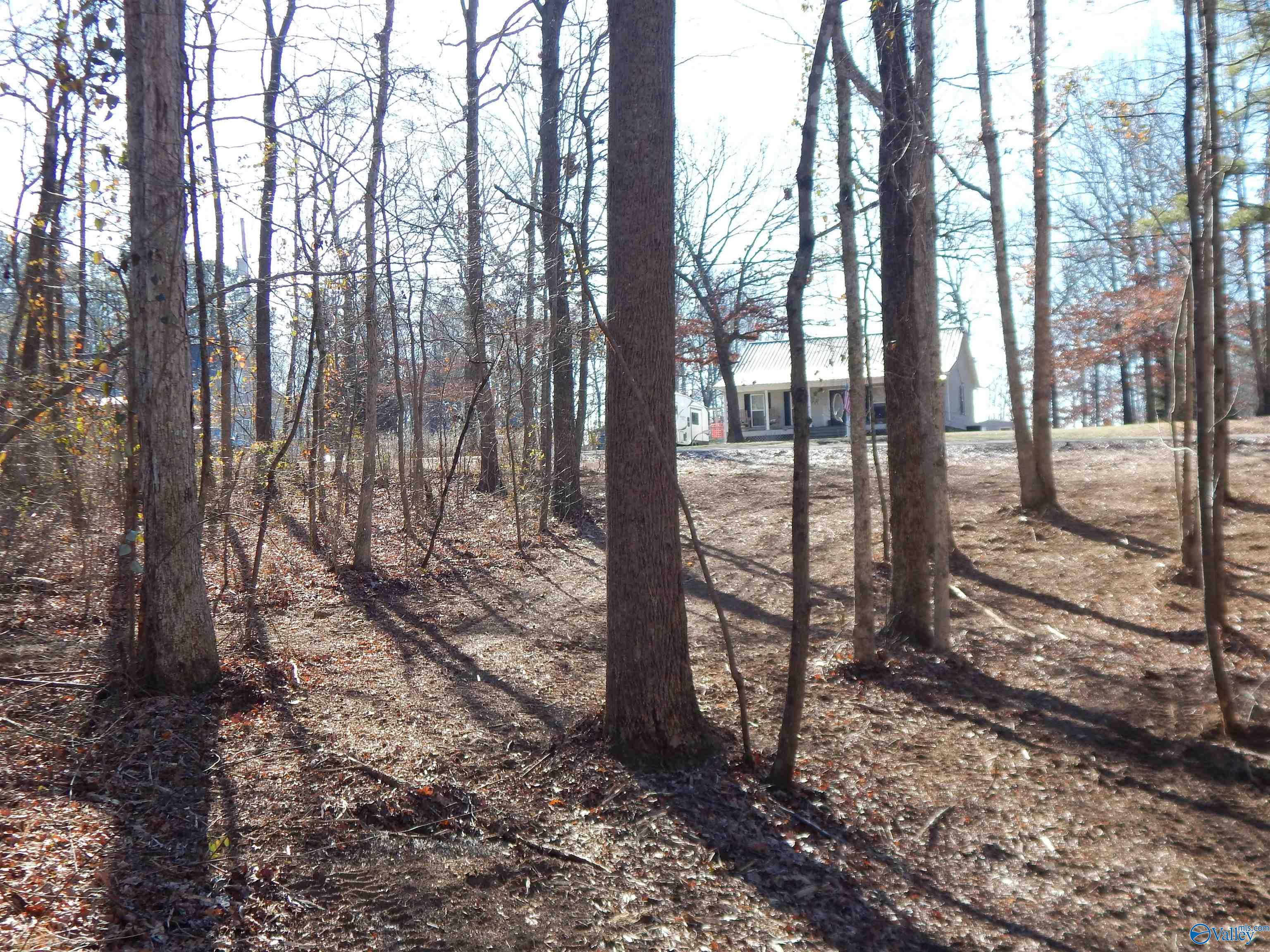 4 Acres Horizon Street, Sylvania, Alabama image 11