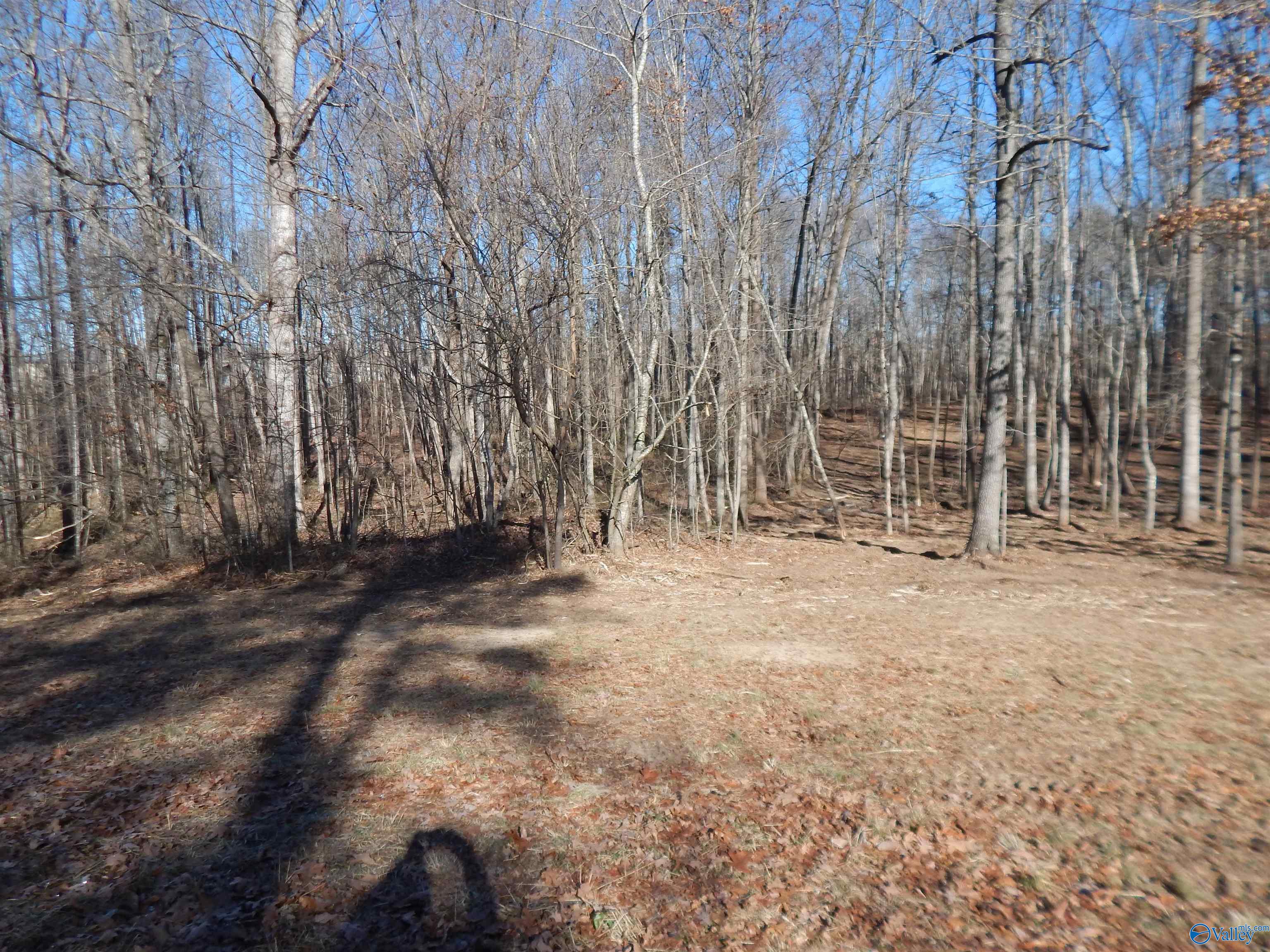 4 Acres Horizon Street, Sylvania, Alabama image 39