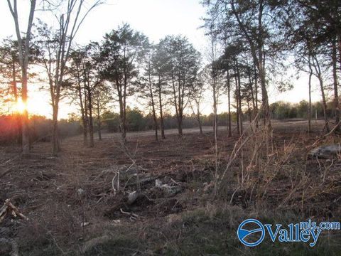 Vacant Land For Sale - 9 Hogs Lane<br/> Marshall County, Albertville, AL 35951
