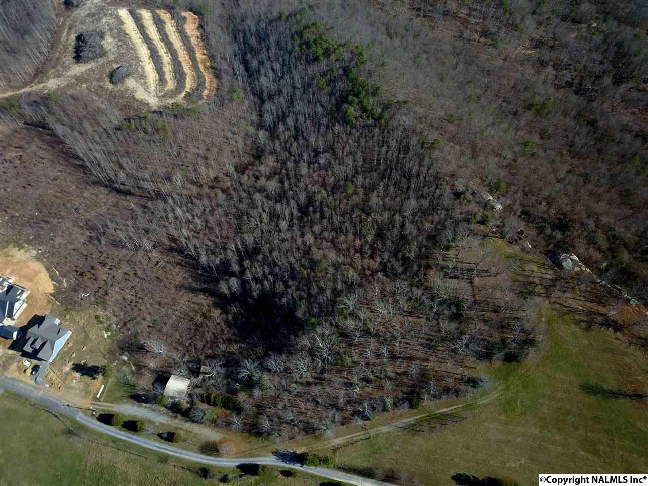 9.5 Acres Guffey Road, Scottsboro, Alabama image 15