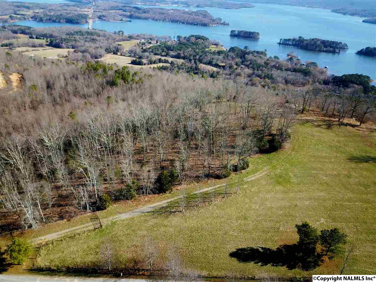 9.5 Acres Guffey Road, Scottsboro, Alabama image 3