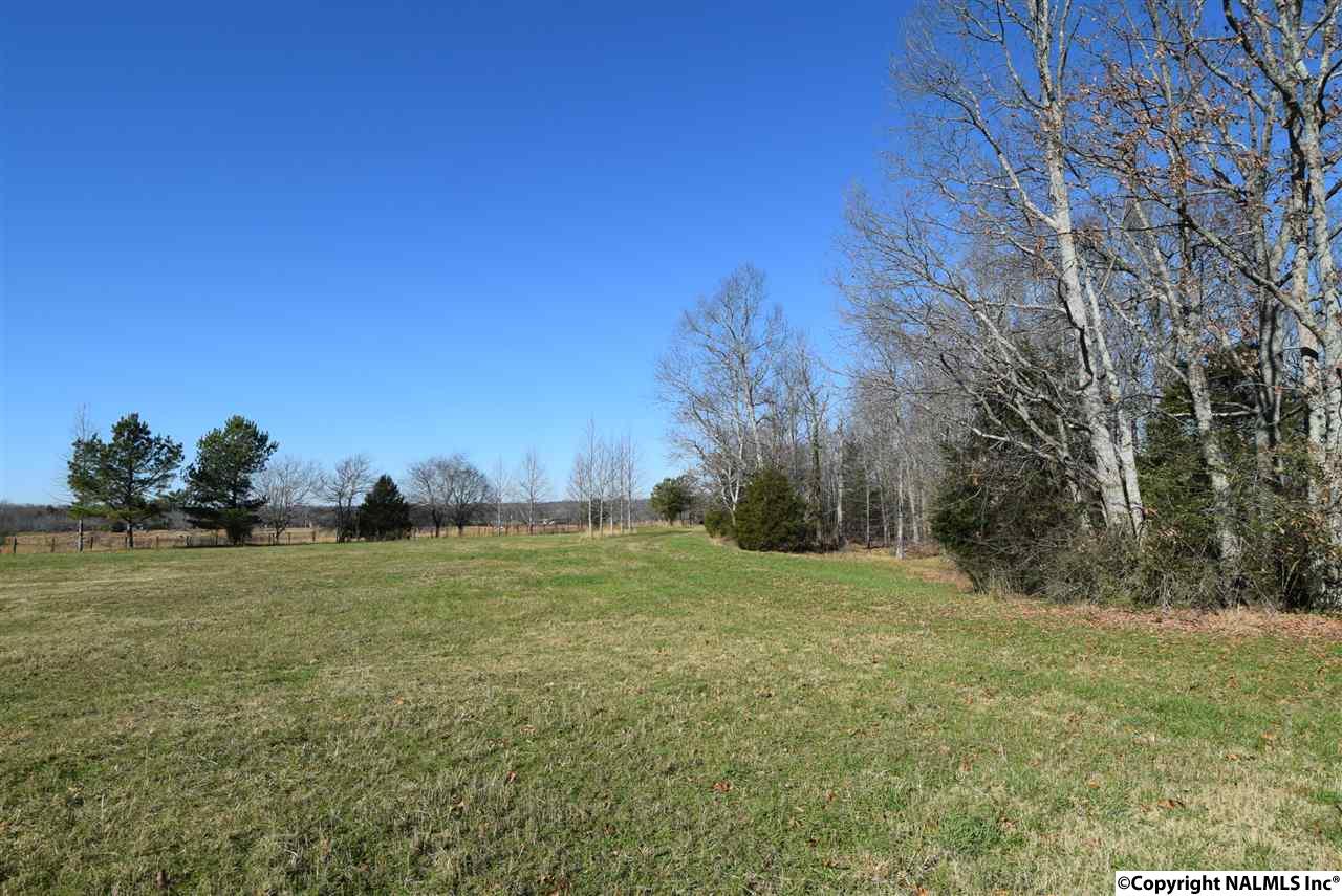 9.5 Acres Guffey Road, Scottsboro, Alabama image 9