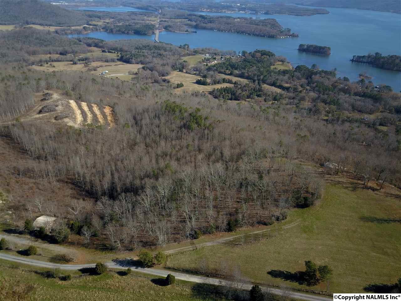 9.5 Acres Guffey Road, Scottsboro, Alabama image 4