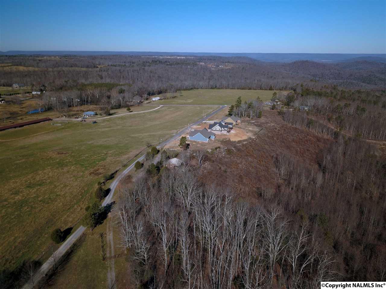 9.5 Acres Guffey Road, Scottsboro, Alabama image 11