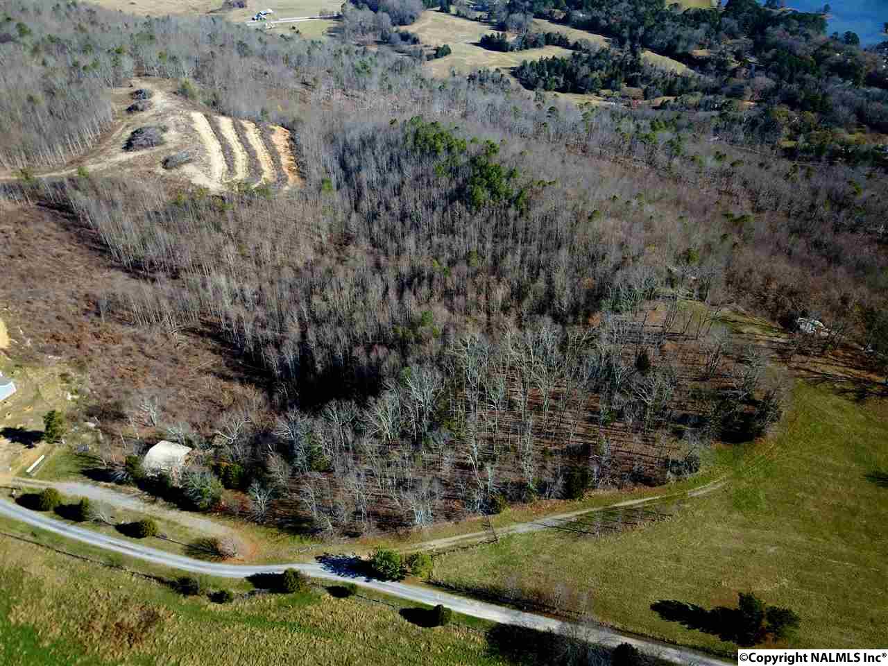 9.5 Acres Guffey Road, Scottsboro, Alabama image 16