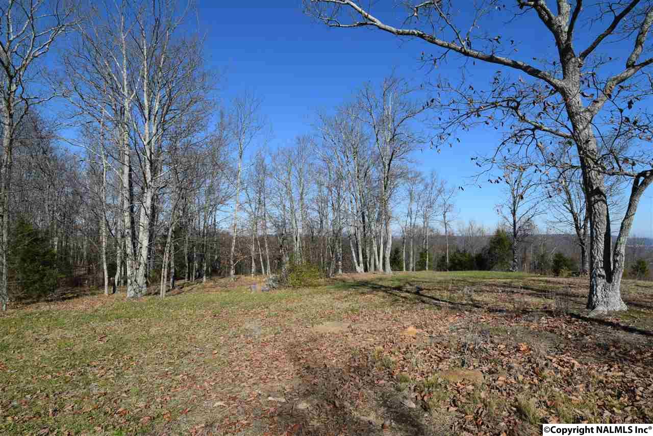 9.5 Acres Guffey Road, Scottsboro, Alabama image 7