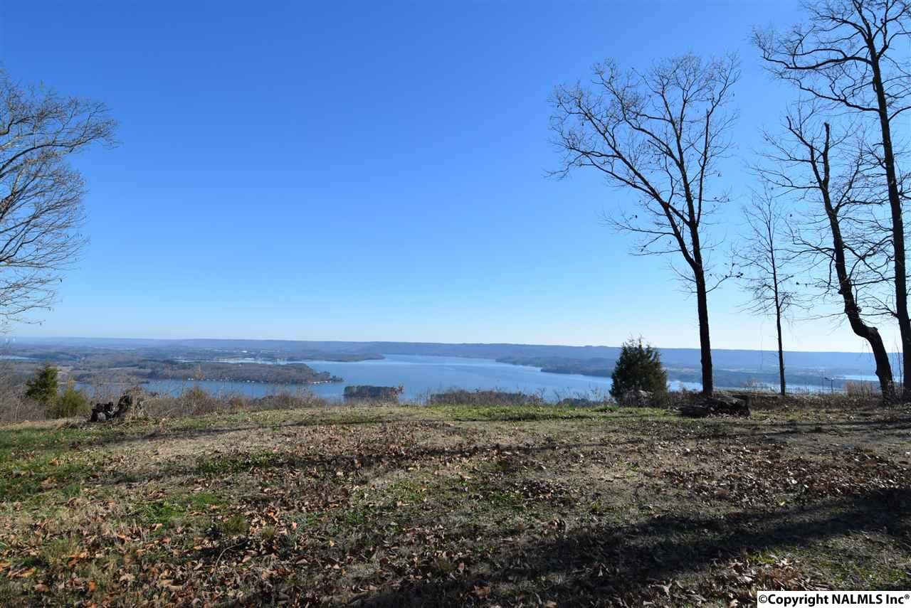 9.5 Acres Guffey Road, Scottsboro, Alabama image 8