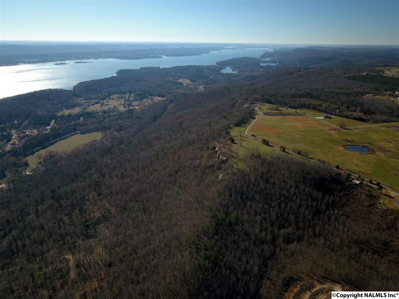 9.5 Acres Guffey Road, Scottsboro, Alabama image 13