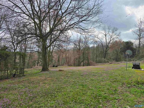 Vacant Land For Sale - 160 Grover Drive<br/> Union Grove, AL 35175