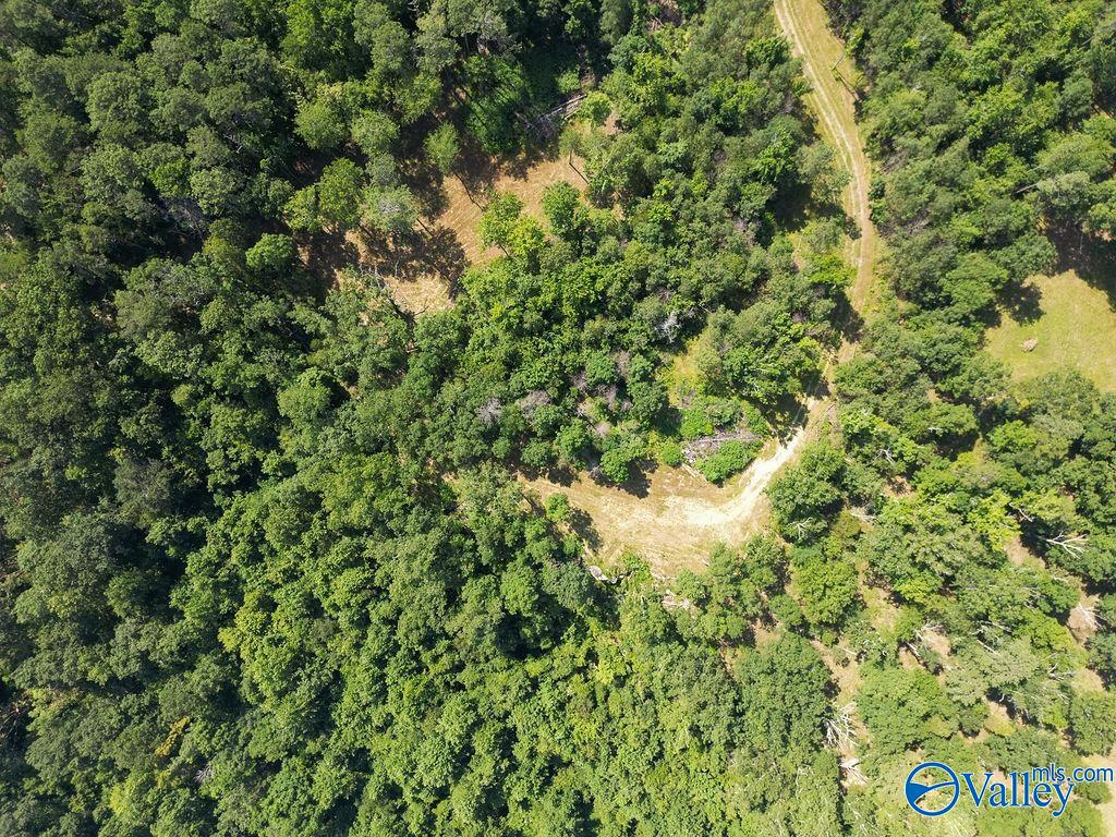 Flat Rock, Alabama 35966, United States, ,Land,Active,171414