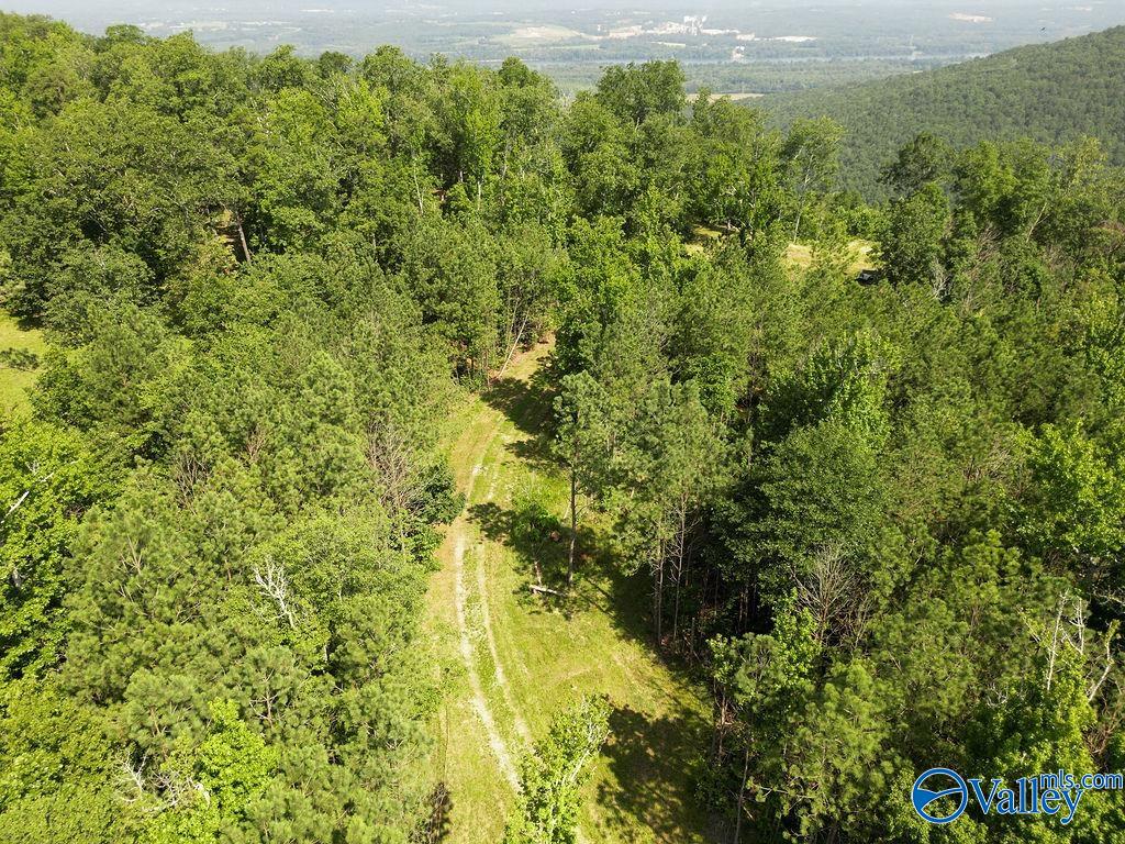 Flat Rock, Alabama 35966, United States, ,Land,Active,171414