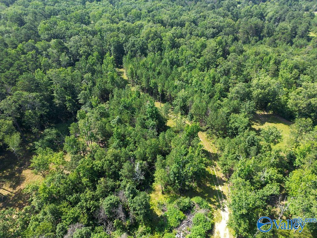 Flat Rock, Alabama 35966, United States, ,Land,Active,171414