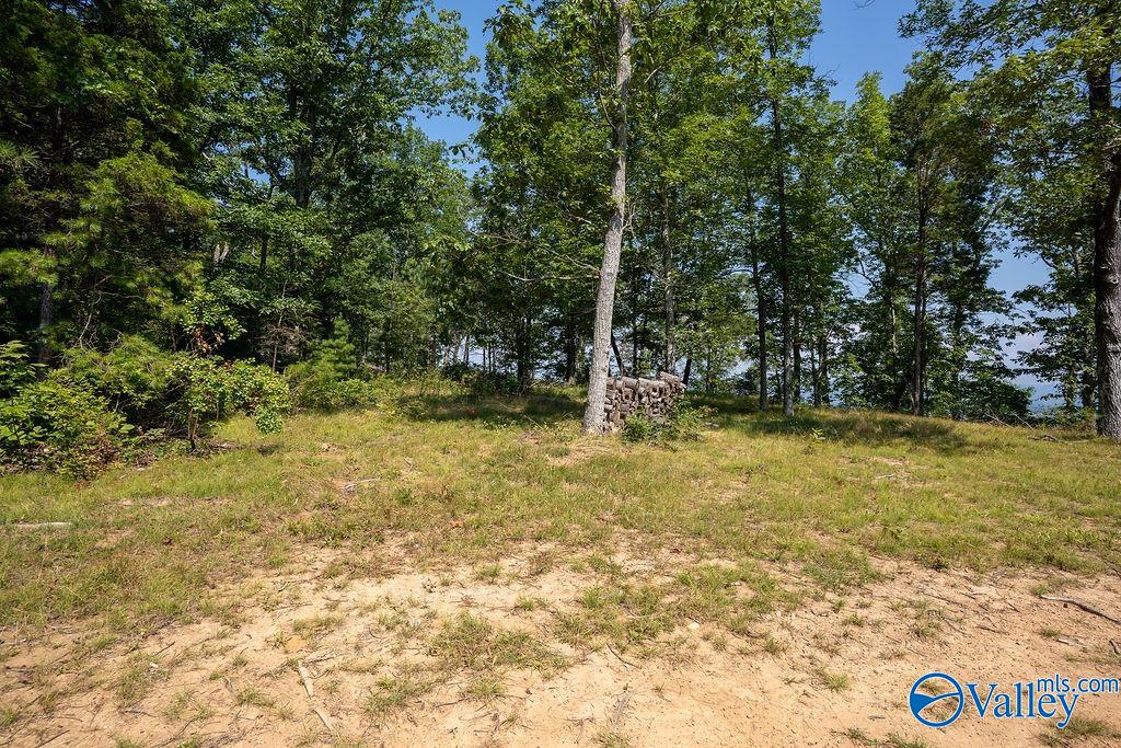 Flat Rock, Alabama 35966, United States, ,Land,Active,171414