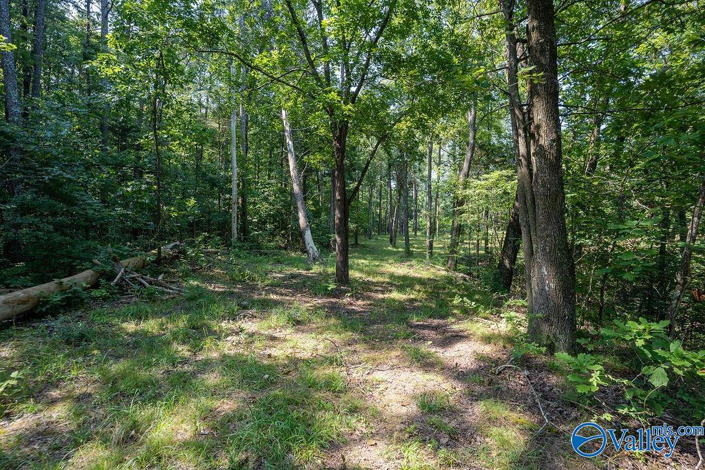 Flat Rock, Alabama 35966, United States, ,Land,Active,171414